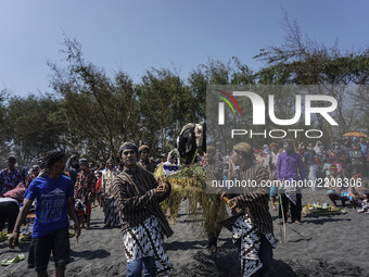 Javanese people brought the offering of goats to be thrown into the sea during the ritual ceremony of labuhan 1st Suro (Javanese calendar) d...