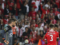 Benfica's forward Jonas (R) celebrates with Benfica's defender Alejandro Grimaldo after scoring during the Portuguese League  football match...