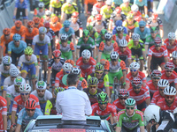 The peloton at the start to the fifth stage - the 166 km Vestel Selcuk to Izmir, the second last stage of the 53rd Presidential Cycling Tour...