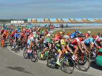 The peloton at Intercity Istanbul Park F1 Circuit during the start to the the final sixth stage - the 143.7km Salcano Istanbul to Istanbul s...