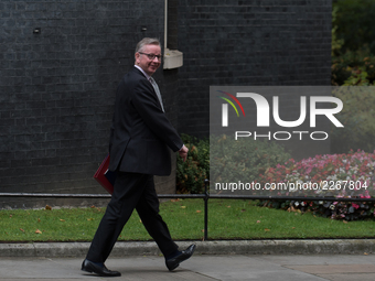 Secretary of State for Environment, Food and Rural Affairs, Michael Gove, leaves after attending a cabinet meeting in Downing Street, London...