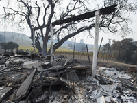 The remains of a burnt house in Sonoma County, California after recent devastating fire. The wineries in the area are known for producing wi...