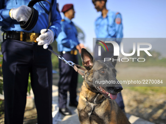 Nepal police officers along with their dogs attends ‘Kukur Tihar’ Dog Festival as the procession of Tihar celebrations at Maharajgunj, Kathm...