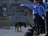 A trained Nepalese police Dog shows skill during ‘Kukur Tihar’ Dog Festival as the procession of Tihar celebrations at Maharajgunj, Kathmand...