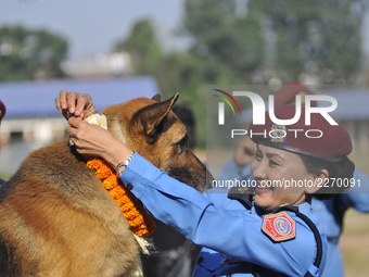 SSP of Nepal Police Dr. Deuti Gurung performing puja on ‘Kukur Tihar’ Dog Festival as the procession of Tihar celebrations at Maharajgunj, K...