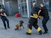 Arresting exercises with dogs were held all day for visitors, in Lyon, France, on October 18, 2017 during the Citizens' Defense Day. (