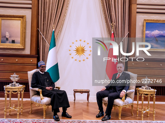 Turkish President Recep Tayyip Erdogan (R) meeting with Nigerian President Muhammadu Buhari at the presidential palace in Ankara,Turkey on 1...