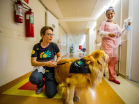 The Hospital Infantil Sabará located in the neighborhood of Higienópolis in São Paulo receives the visit of the dog therapist, on October 26...