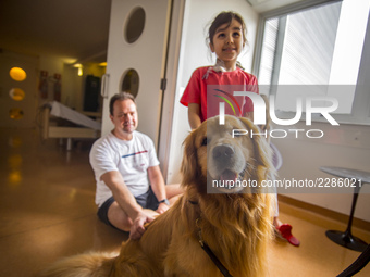 The Hospital Infantil Sabará located in the neighborhood of Higienópolis in São Paulo receives the visit of the dog therapist, on October 26...