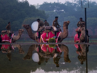 India's Border Security Force Camel Contingent soldiers prepare for the Republic Day parade rehearsals on a winter morning in New Delhi. 13t...