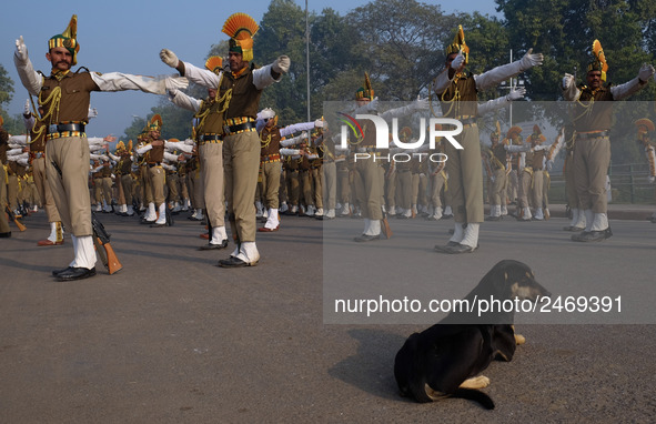 Indo-Tibetan Border Police (ITBP) guards practice stretching excerices along Delhi's Rajpath Road on January 13th, 2018. 