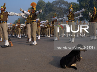 Indo-Tibetan Border Police (ITBP) guards practice stretching excerices along Delhi's Rajpath Road on January 13th, 2018. (