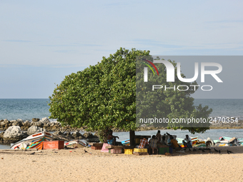 Tamil fishermen relax under a tree after a long day of fishing in Point Pedro, Jaffna, Sri Lanka.  (