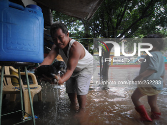 A man bathes his puppy after picking it up from flood water caused by tropical storm Fung Wong inside a wet and dry market in Manila, Philip...