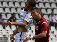 Torino midfielder Omar El Kaddouri (7) fight for the ball against - Serie A n.5 TORINO - FIORENTINA - Sport, Football, Soccer, Calcio - 28/0...