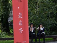  Confucius Institute Day at University of Zagreb in park Josip Juraj Strossmayer on  27 September 2014.Zagreb,Croatia (