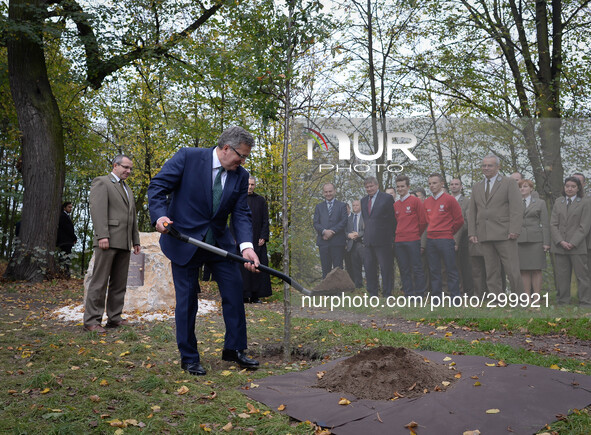 Polish President Bronislaw Komorowski,  pictured planting a Liberty Oak to commemorate the 25th anniversary of freedom of Poland and the 970...