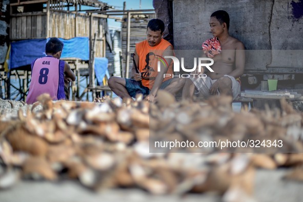 A resident chops coconut shells to be used for cooking outside his home at a coastal village one year since Typhoon Haiyan hit in Tacloban,...