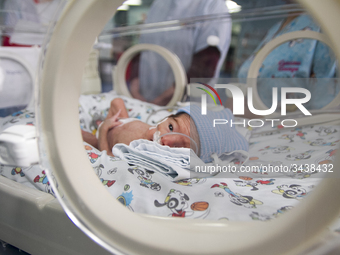 In the framework of global health, on November 17, the day of premature baby is celebrated in which several health institutions of Ecuador e...