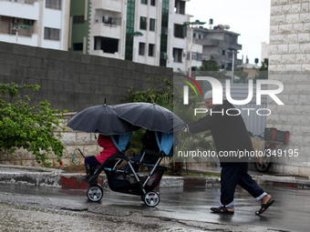 Grandfather pays two children on a cart during rainfall to go to kindergarten this morning in Gaza, on November 25, 2014. (