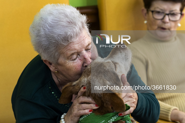 An old woman embraces Miko excitedly at the San Cipriano Residence in Soto de la Marina, Cantabria, Spain, on 16 January  in one of the ther...