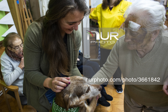 An old woman caresses Miko at the San Cipriano Residence in Soto de la Marina, Cantabria, Spain, on 16 January  during one of the therapeuti...