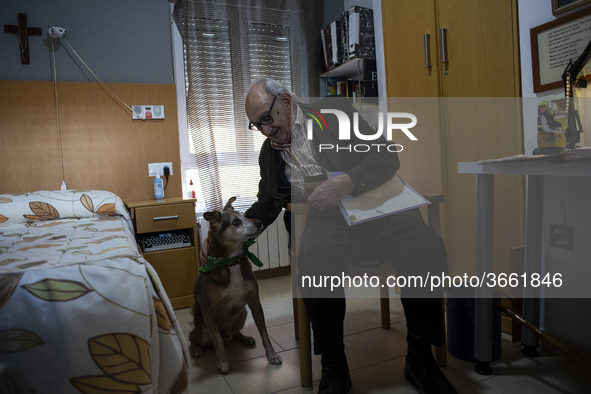 An old man plays with Miko in his room at the Residencia San Cipriano in Soto de la Marina, Cantabria, Spain, on 16 January  in one of the t...