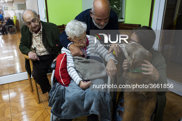 An old woman from the San Cipriano Residence in Soto de la Marina, Cantabria, Spain, on 16 January  caresses Miko in one of the therapeutic...