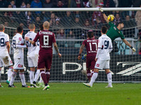 Torino midfielder Alexander Farnerud (8) shoots the ball on the pole during the Serie A football match n.16 TORINO - GENOA on 21/12/14 at th...