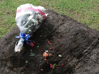 Flowers lay on the grave stone as a prayer for friends and family Acehnese people who died as a result of the Indian Ocean tsunami struck in...