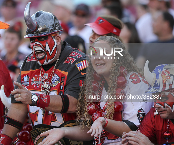 Tampa Bay Buccaneers fans cheer on their team December 28 at Raymond James Stadium in Tampa.
New Orleans defeated Tampa 23-20.

Photo by Tom...