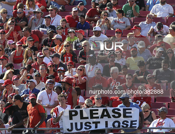 Tampa Bay Buccaneers fans show their feelings December 28 at Raymond James Stadium in Tampa. New Orleans defeated Tampa 23-20. Tampa will re...