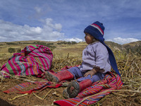 A child waits for his parents as they harvest potatoes in the Andes Mountains near Cusco Peru on July 7, 2014. The potato is Perus most impo...