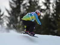 Ken Vaugnoux from France, during a Men's Snowboardcross Qualification round, at FIS Snowboard World Championship 2015, in Kreischberg. Kreis...