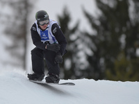 Nate Holland from USA, during a Men's Snowboardcross Qualification round, at FIS Snowboard World Championship 2015, in Kreischberg. Kreischb...