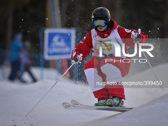 Aleksey Pavlenko from Russia during Men's Moguls qualification, at FIS Freestyle World Championship in Kreischberg, Austria. 18 January 2015...