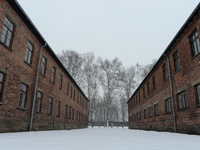 A view from Auschwitz, a day ahead of the 70th Anniversary of the Camp Liberation. Oświęcim, Poland. 26 January 2015. Picture by: Artur Wida...