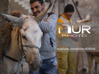 Municipal workers wake before sunrise to prepare the donkeys for the workday, which begins at 6:30 am. In the historic city of Mardin, much...