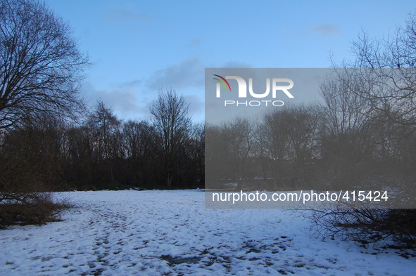 Melting snow on the Heaton Mersey Common, which was covered by snow, as a thaw sees temperatures start to rise on Friday 30th January 2015. 
