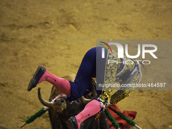 Bullfighter Curro de la Casa is tossed by a bull during a bullfight in Morazarzal, Spain, Saturday, Feb. 28, 2015. 
Bullfighting is a tradit...