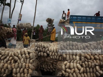Labourers carry jute from a boat to a truck to send it in the capital Dhaka. Photo has taken on 26 July 2019 from Kurigram, Bangladesh.  (