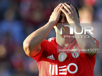 Benfica's Brazilian forward Lima reacts after fail the goal during the Premier League 2014/15 match between FC Arouca and SL Benfica, at Mun...