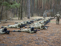 Volunteers and reserve soldiers are learning basics of military stances and moves at training center 'Patriot', Kyiv, Ukraine. 15 of March,...