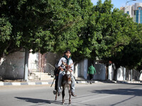Two students riding a donkey after-school finishes, in Gaza, on March 16, 2015. (