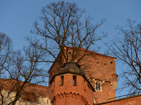 One of Wawel Castle's tower. Krakow, Poland. Thursday 19 March 2015. 