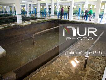 SRINAGAR, KASHMIR, INDIA - MARCH 21: Bio-solid wastes float on the water at Rangil water treatment plant  before supplying clean water to th...