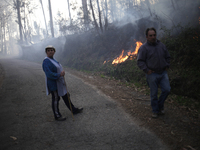 Firefighters work on the site of a wildfire in Ponteareas, near Pontevedra after 24 hours of fire on March 24, 2015  (