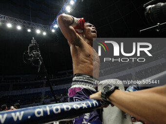 Quezon City, Philippines - Donnie Nietes of the Philippines rejoices after defeating Gilberto Parra of Mexico in their WBO World Jr. Flyweig...