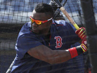 Boston Red Sox designated hitter David Ortiz (34) takes batting practice before a Spring Training game with the Tampa Bay Rays Saturday, Mar...