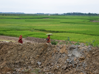 People walking around dried up areas of Ratargul Swamp Forest on April 3, 2015 in Sylhet, Bangladesh.
Ratargul swamp forest is one of the v...